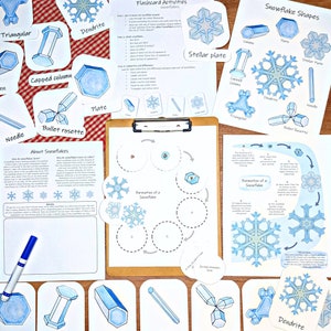 Snowflake Mini Study: learn about the formation and types of snowflakes! Activities for kids, flashcards, and classroom posters!