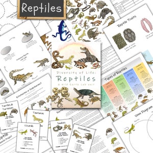 Reptiles Unit: biodiversity lesson plan! Life cycles, ectotherm vs endotherm, camouflage, types of reptiles, nature study, homeschool lesson
