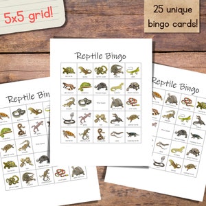 Conjunto de bingo de répteis: 25 cartões de bingo exclusivos com cartões de visita! Jogo de aniversário infantil, festa de classe, atividade depois da escola, festa de aniversário de répteis