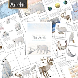 The Arctic Unit: winter homeschool, nature study, food web, climate change, Arctic animals, life cycle, polar bear, reindeer, unit study