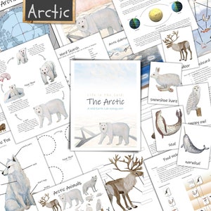 May include: A colorful educational set about the Arctic, featuring illustrations of animals like polar bears, reindeer, and snowy owls. The set includes a word search, a food web diagram, and a life cycle of a polar bear.