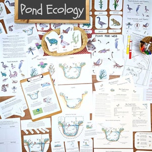 Pond Ecology Unit: HUGE collection of printable ecosystem learning materials, pond animals, pond food webs, assessing ecosystem health image 1