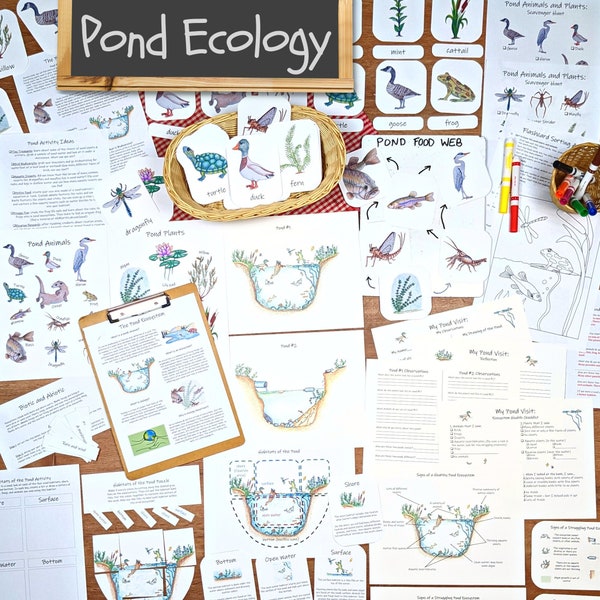 Pond Ecology Unit: HUGE collection of printable ecosystem learning materials, pond animals, pond food webs, assessing ecosystem health