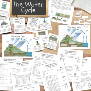 Water Cycle Unit: earth science unit study - with at-home science lab activities!