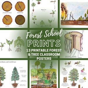 Forest School Prints Bundle: 13 printable classroom posters, forest homeschool decor
