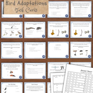 May include: A set of 16 colourful task cards with illustrations and text about bird adaptations. The cards are numbered 1 through 16 and have titles like "Foot Matching", "Bird Adaptations", and "Short Answer".