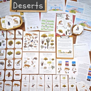 Desert Ecology Unit: study food webs, rain shadow, animal adaptations, and more! Nature study, biome unit study, science lesson plan