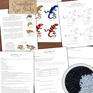 Camouflage Lab: learning activity! Study camouflage & warning coloration. Nature study, biology lesson, homeschool activity, science project
