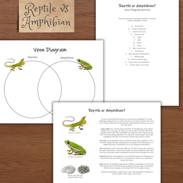 Amphibian vs Reptile: Venn diagram activity! Compare and contrast, biology lesson plan, homeschool unit, nature study, science worksheets