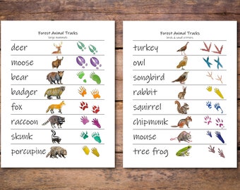 Animal Tracks Posters: guide to forest animal tracks, woodland creature paw prints, nature classroom decoration