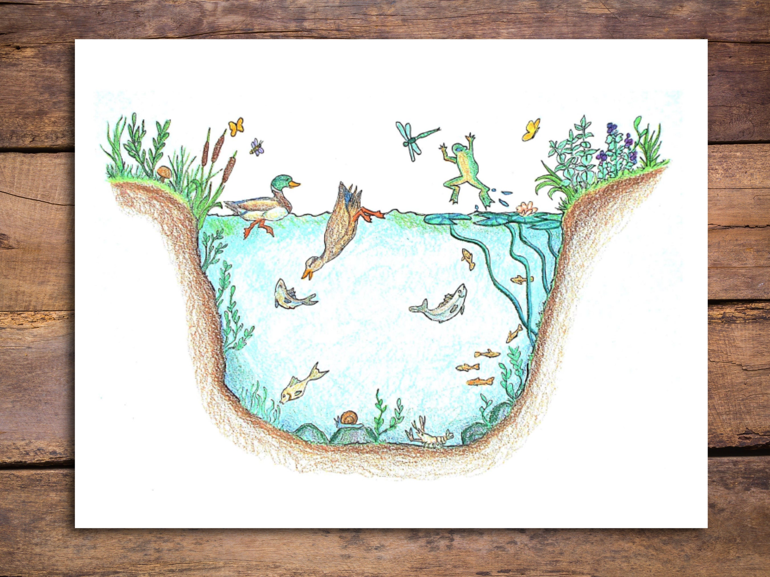 Nature Illustration Blank Note Card Stationary - The Art of Ecology