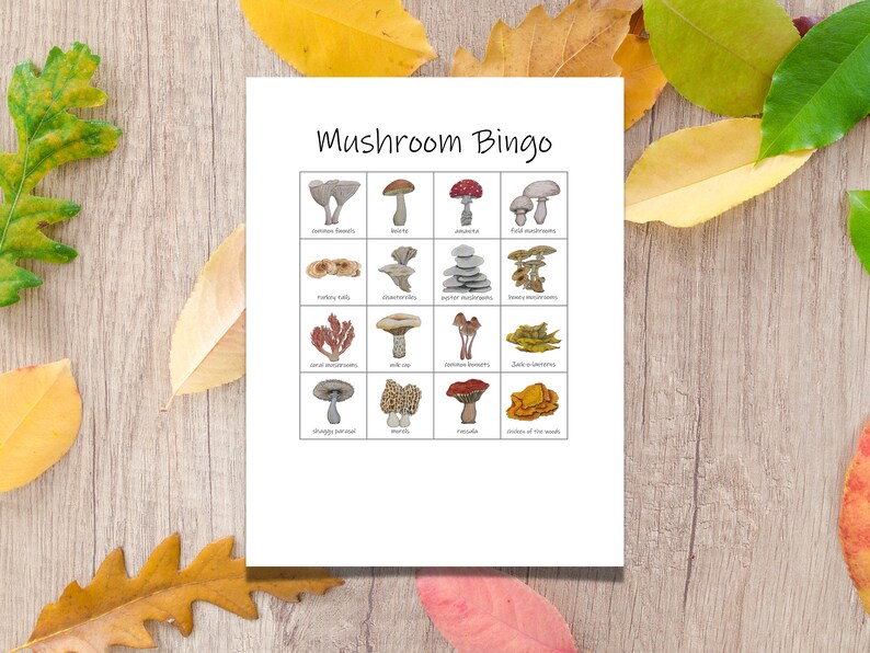 May include: Mushroom Bingo card with 16 different types of mushrooms illustrated. The card has a free space in the center and the title "Mushroom Bingo" at the top.