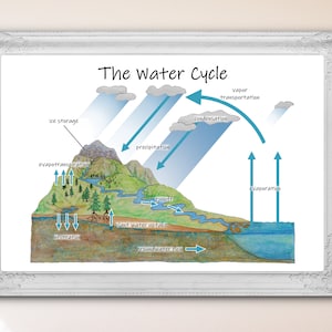 The Water Cycle Diagram: Printable Classroom Poster Earth - Etsy