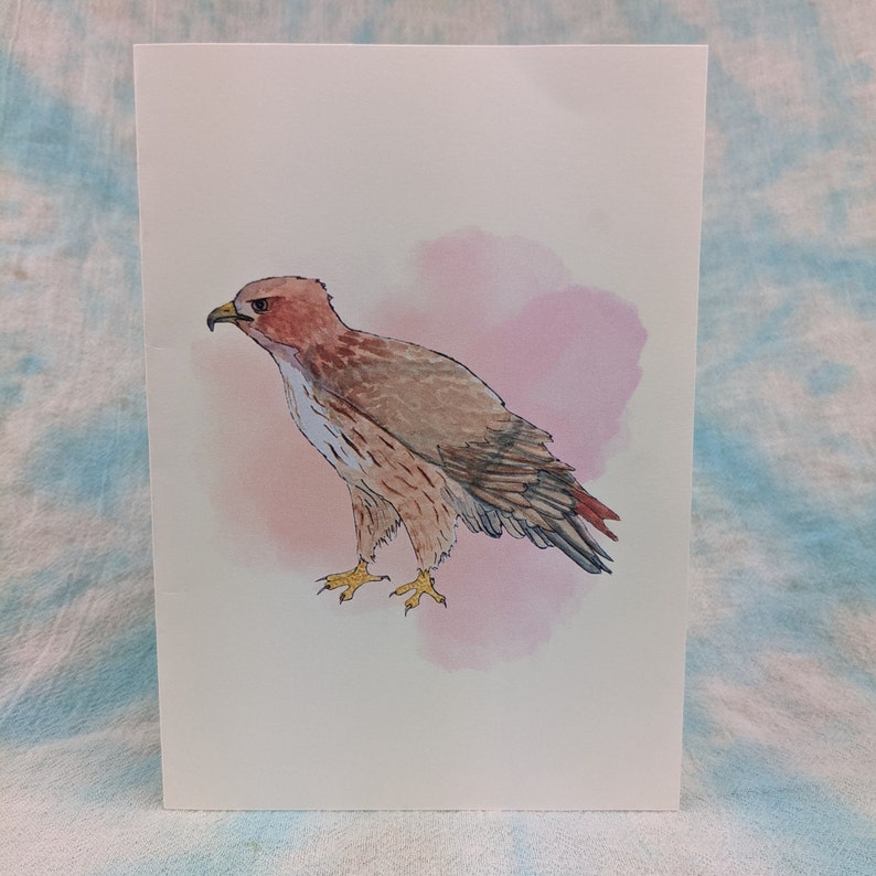 Red-tailed Hawk Printable Card: Blank Bird of Prey Greeting - Etsy