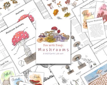 Mushroom Unit: Fungi Anatomy & Life Cycle Printables (PDF Download)