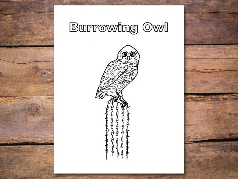 Burrowing Owl Coloring Page: Owl on Cactus Printable Coloring - Etsy
