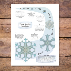 Può includere: Un diagramma illustrato che mostra la formazione di un fiocco di neve. Il diagramma mostra sei fasi della formazione di un fiocco di neve, a partire da una particella di polvere e terminando con un fiocco di neve completamente formato. Il diagramme è accompagnato da un testo che spiega ogni fase del processo. Il testo include la frase "Lo sapevi che..." e spiega che ogni fiocco di neve è unico a causa delle diverse condizioni che incontra mentre cade a terra.