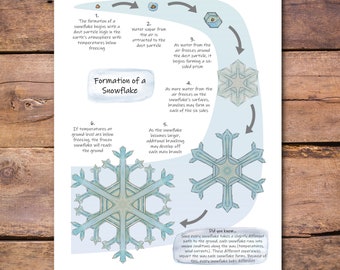 Póster de formación de copos de nieve: cómo se forman los copos de nieve, póster de ciencias, decoración para la educación en casa, aula de invierno
