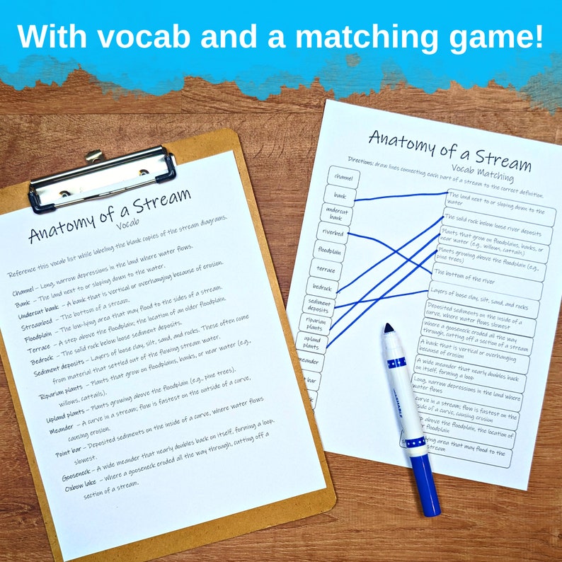 Stream Anatomy Study: Diagrams, Flashcards, Vocab (PDF Download) - Etsy