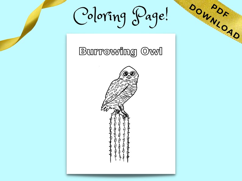 Burrowing Owl Coloring Page: Owl on Cactus Printable Coloring - Etsy