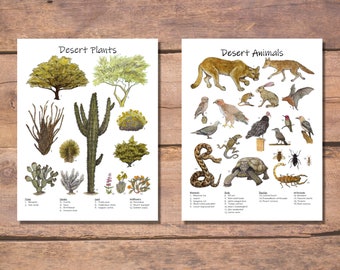 Sonoran Desert Animal & Plant Watercolor Poster Set (PDF Download)