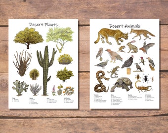 Desert Animals and Desert Plants: classroom poster set, homeschool decor, nature study, Sonoran Desert, Saguaro National Park flora & fauna