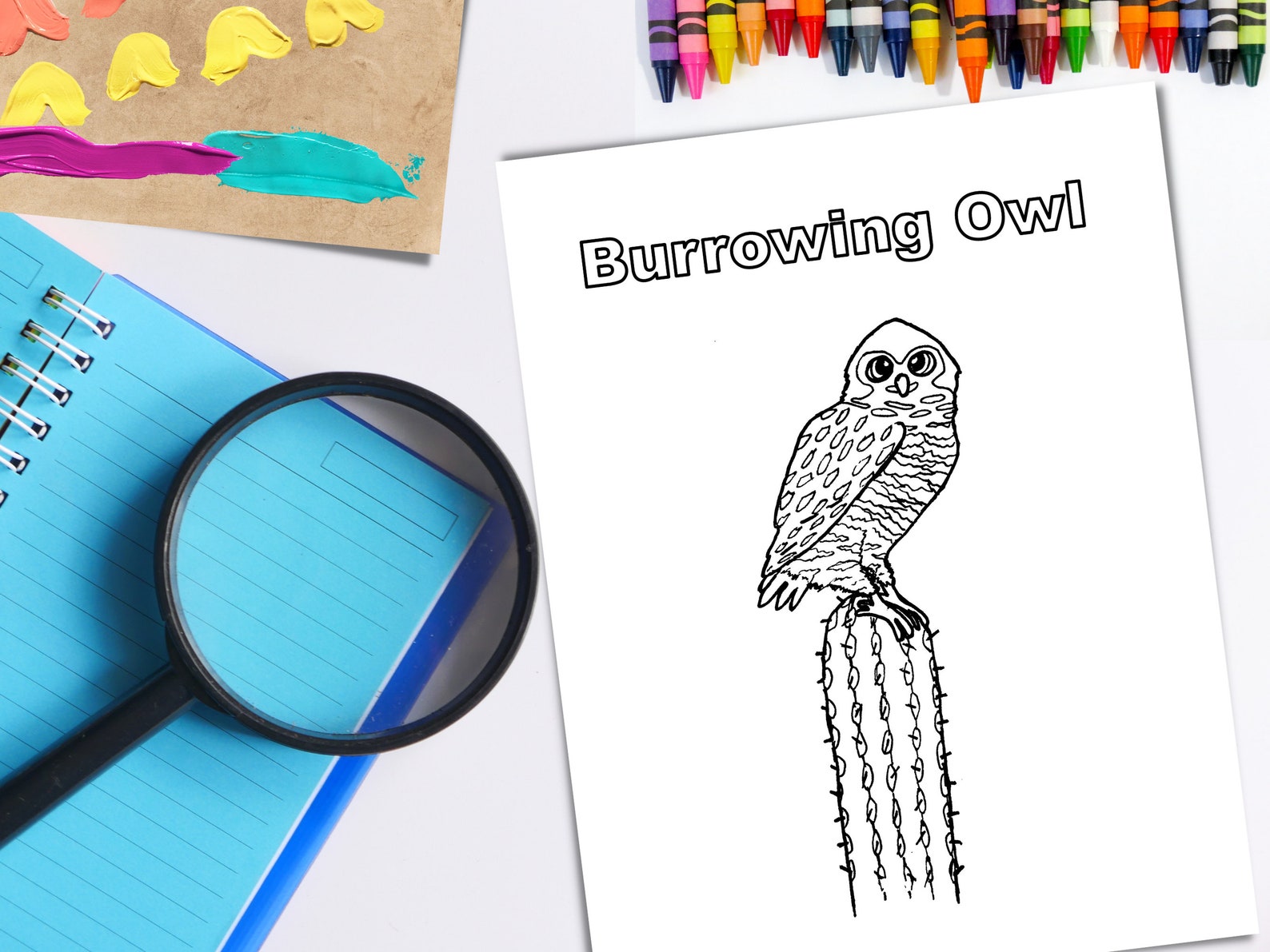 Burrowing Owl Coloring Page: Owl on Cactus Printable Coloring - Etsy
