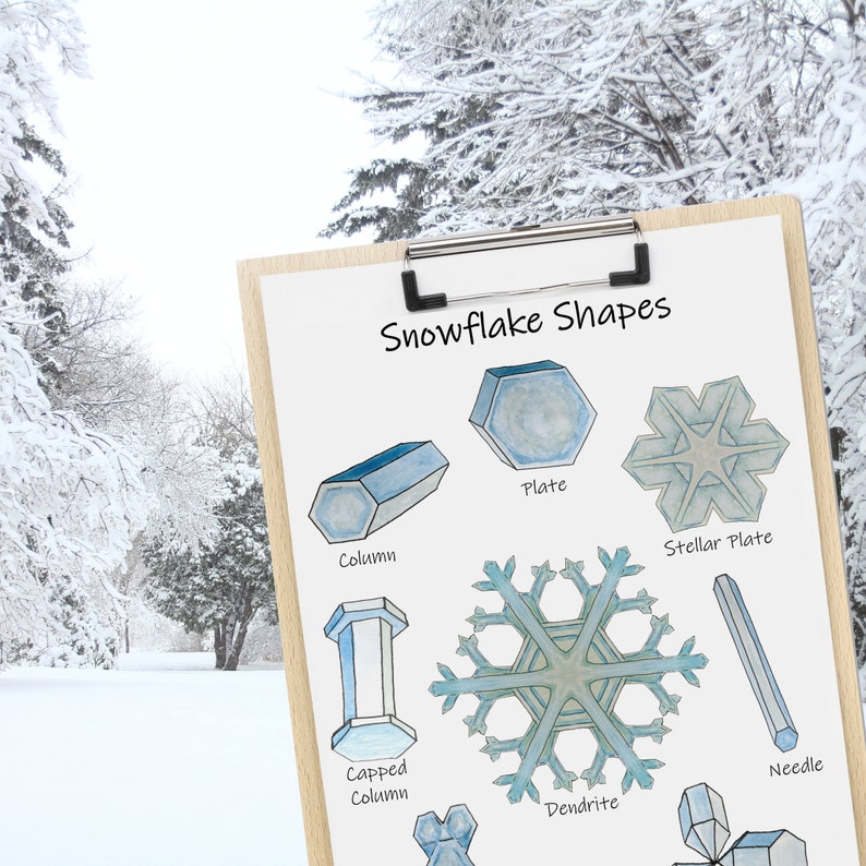 Snowflake Types Images Snowflake Types Poster: Winter Classroom Decor, Homeschool Print (PDF ...
