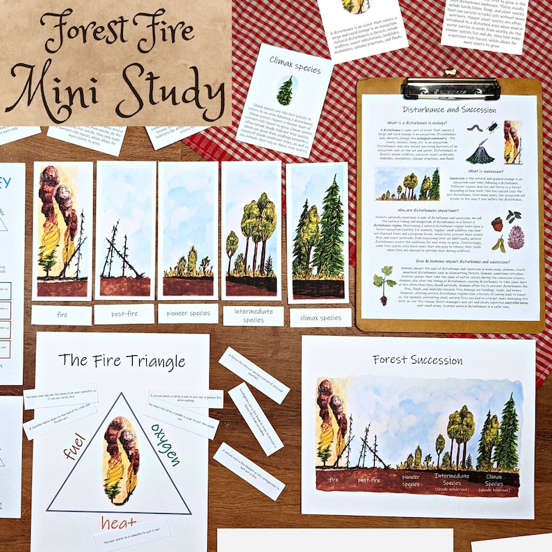 Forest Fire & Succession Mini Study: Ecology Lesson Plans (PDF Download ...