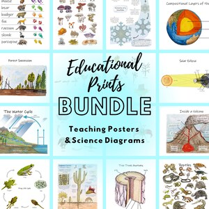 Natur & Wissenschaft Klassenzimmer Poster Bundle (PDF Download)