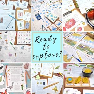 The Curriculum Bundle Vol. 1: My collection of environmental science units Classroom bundle, homeschool unit studies, science lesson plans image 8