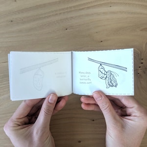 May include: A small open book with white pages featuring black line drawings. The left page shows a chrysalis hanging from a branch. The right page shows a butterfly emerging from a chrysalis with the text, Many days later, a butterfly comes out!