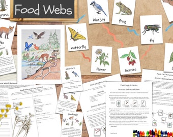 Food Webs Unit: an ecology unit study - with activities, science projects, and flashcards!