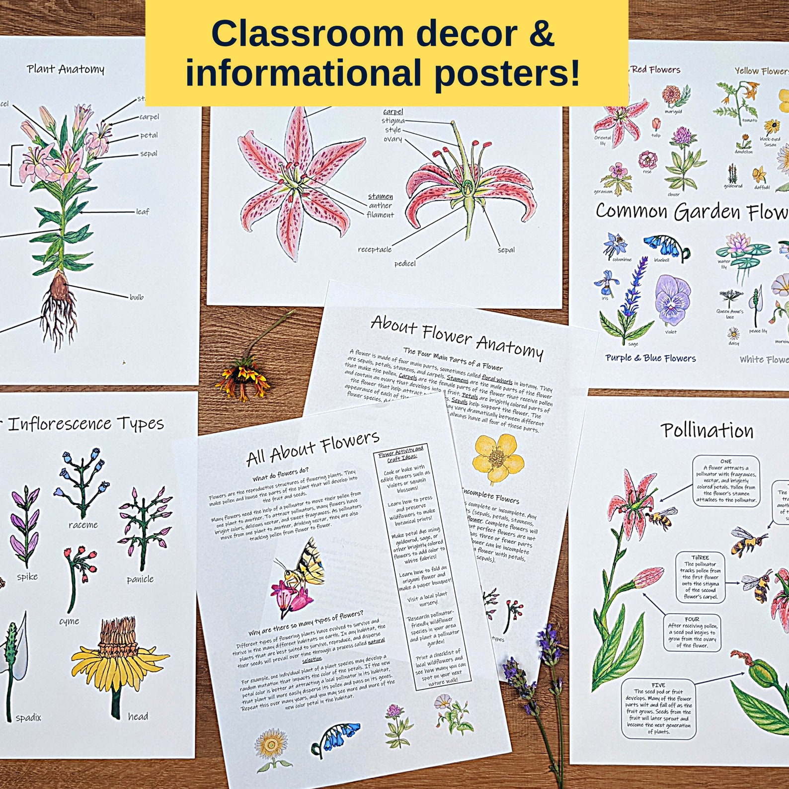 Flower Unit Botany Unit Study Materials Garden Flowers Etsy