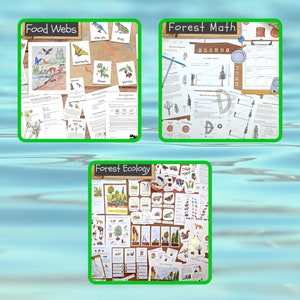 The Curriculum Bundle Vol. 1: My collection of environmental science units Classroom bundle, homeschool unit studies, science lesson plans image 2