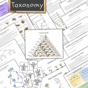 May include: A collection of educational biology worksheets and cards featuring a central pyramid diagram labelled Taxonomic Ranks, various classification charts, dichotomous keys, and black and white illustrations of cartoon aliens.