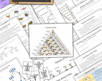 Taxonomy and Classification of Living Things Unit: with two hands-on lab activities (PDF Download)