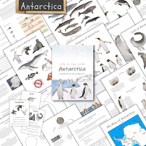 May include: A colorful educational resource about Antarctica, featuring a variety of illustrations of animals, maps, and diagrams. The title of the resource is "Life in the Cold: Antarctica".