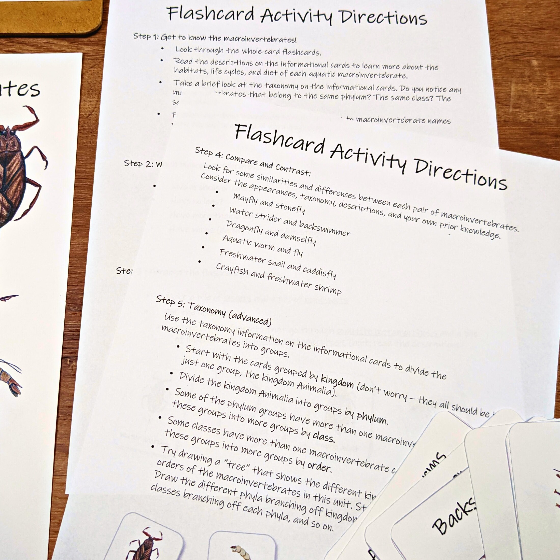 Aquatic Macroinvertebrates Mini Study: Classroom Printables (PDF ...