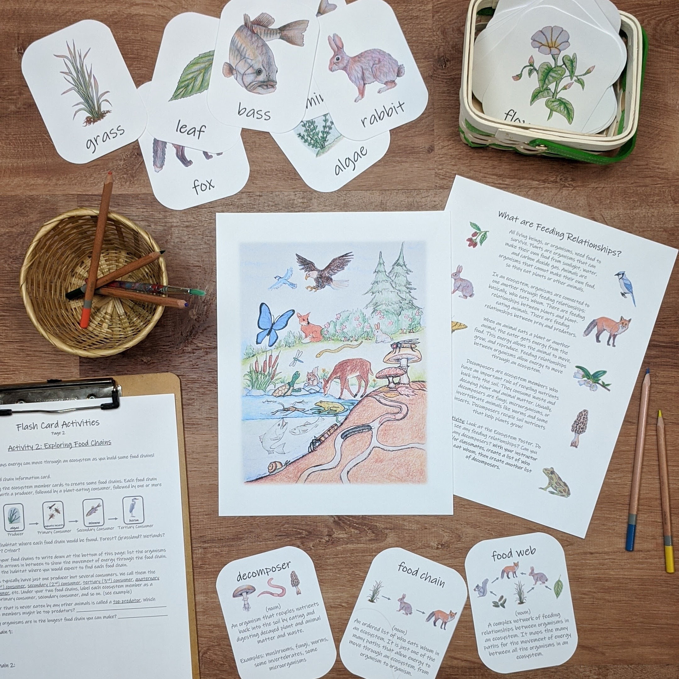 Food Webs Unit: Ecology Activities, Worksheets, & Printables (PDF ...