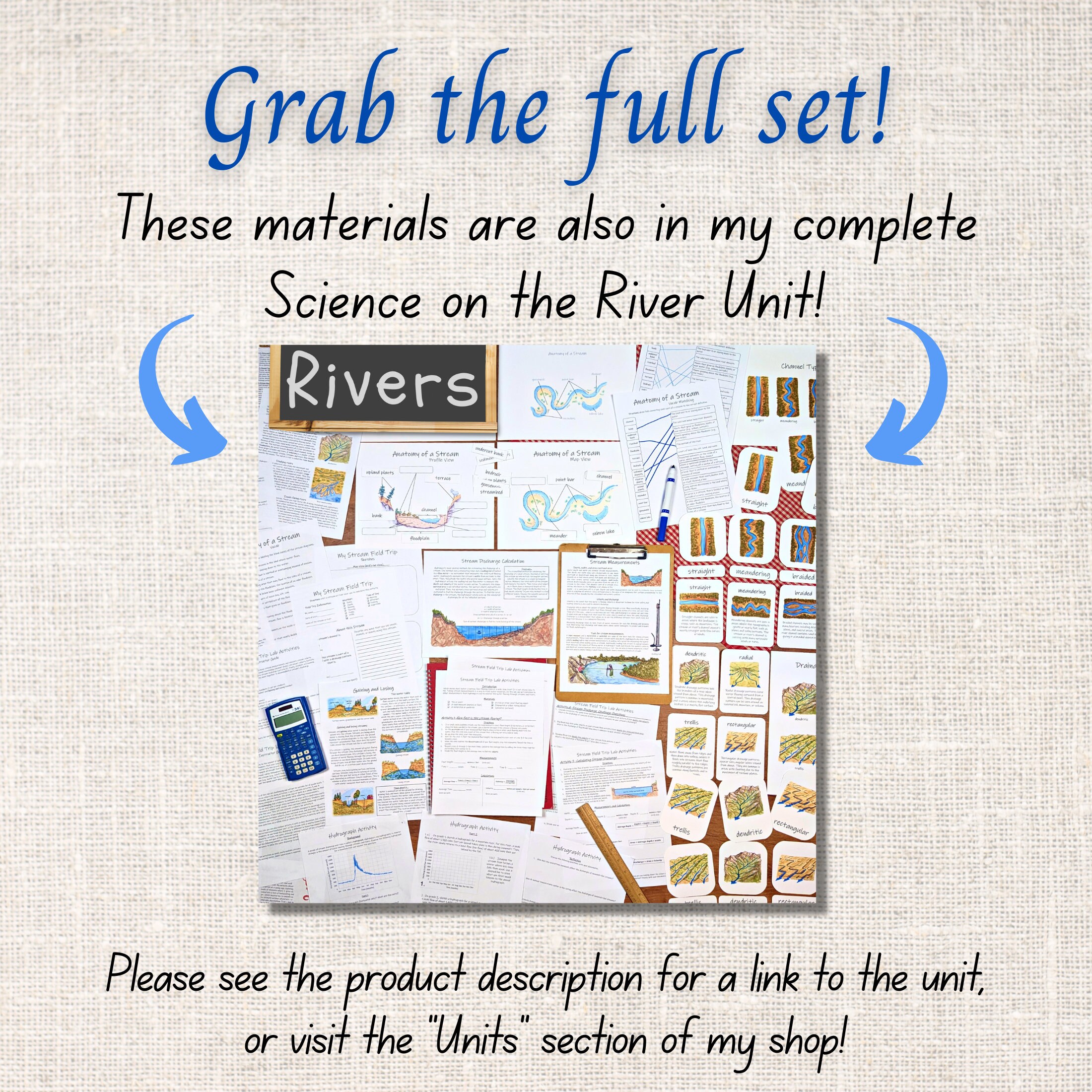 Stream Anatomy Study: Diagrams, Flashcards, Vocab (PDF Download) - Etsy