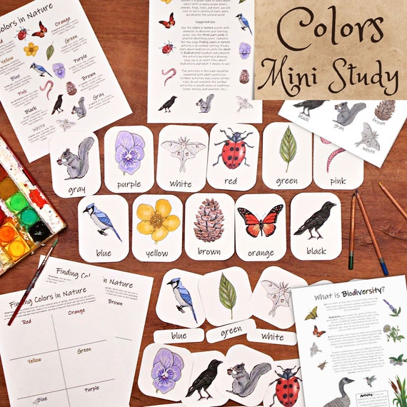 Colors in Nature Mini Study: Homeschool Activity (PDF Download)