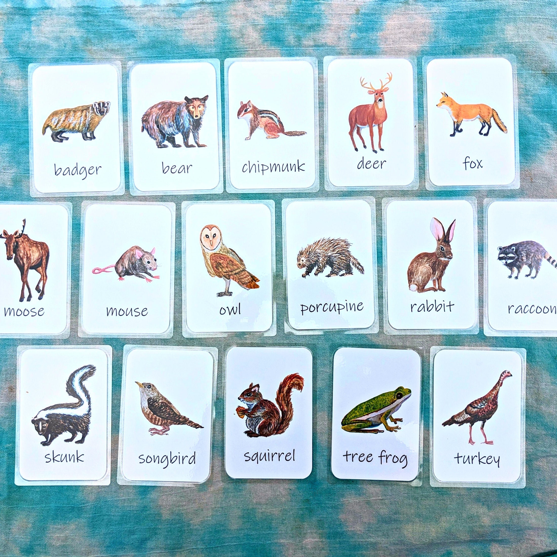 Forest Animals Laminated Flashcards: 4x6 Watercolor - Etsy Australia