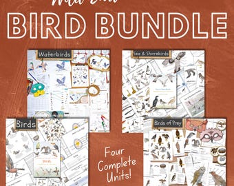 Bird Bundle: Ornithology Curriculum Units - Seabirds, Waterfowl, Birds of Prey (PDF Downloads)