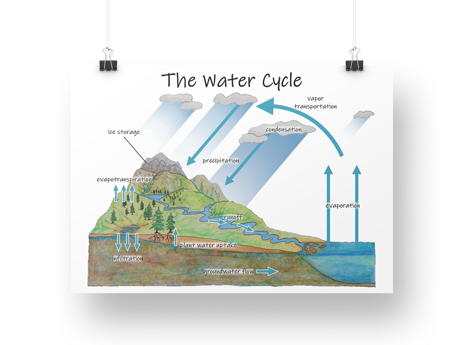 The Water Cycle Diagram: Printable Classroom Poster, Earth Science