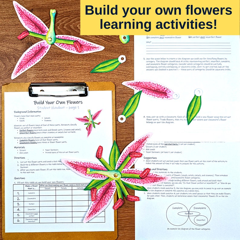 Flower Unit Botany Unit Study Materials Garden Flowers Etsy