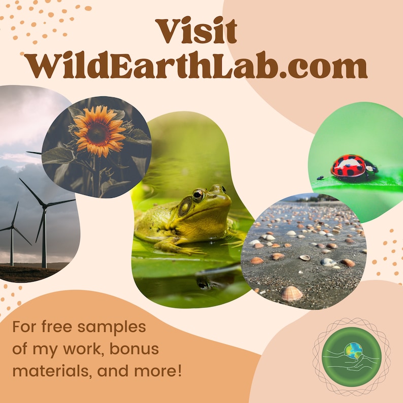 May include: A collage of images featuring nature scenes, including a sunflower, a frog in a pond, a ladybug on a leaf, a wind turbine, and a beach with seashells. The text "Visit WildEarthLab.com" is at the top of the image. The text "For free samples of my work, bonus materials, and more!" is at the bottom of the image.