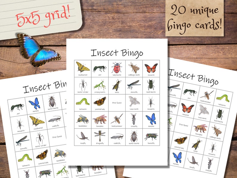 Insect Bingo Set: 20 Unique Bingo Cards With Calling Cards Class Party ...