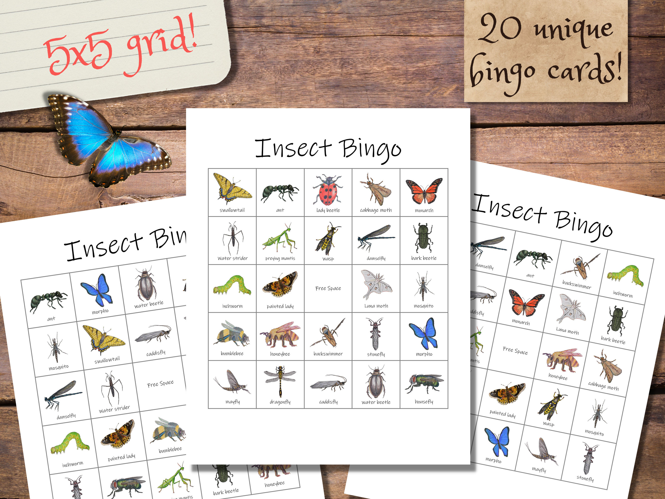 Insect Bingo Set: 20 Unique Bingo Cards With Calling Cards Class Party ...