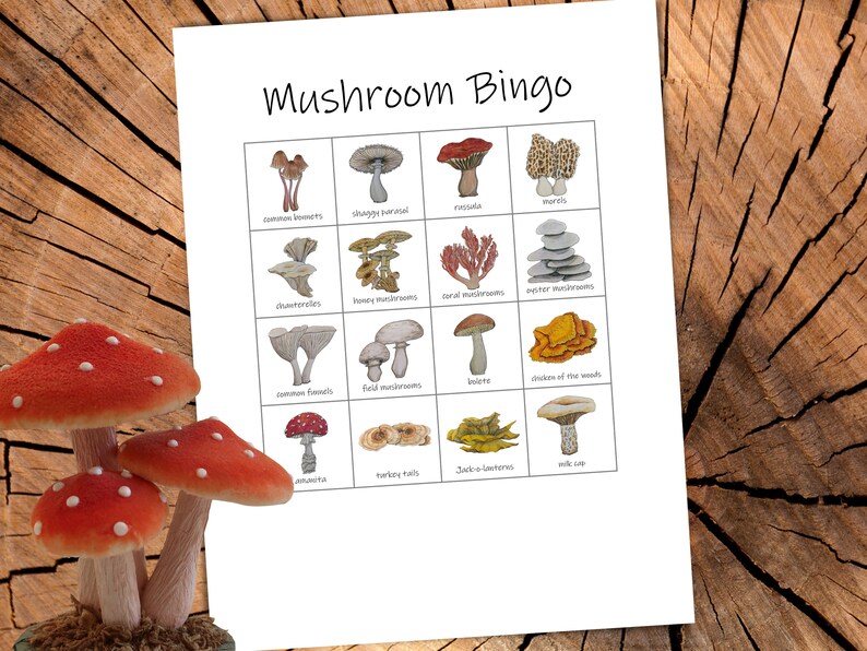 May include: A mushroom bingo card with illustrations of different types of mushrooms, including chanterelles, morels, and oyster mushrooms. The card has a free space in the center and is ready to be played.